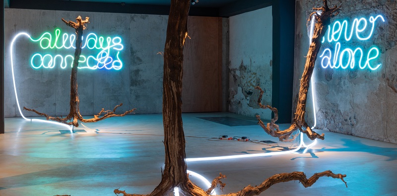 rhizoma---installazione-darte-contemporanea-supportata-da-digimax---2.jpg